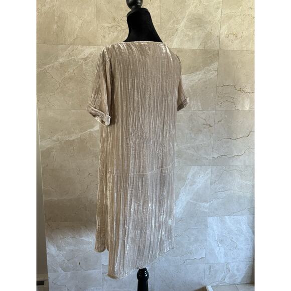 Anthropologie Floreat Crushed Velvet Mini Dress - XS Beige Holiday Cottage Party - Picture 9 of 15
